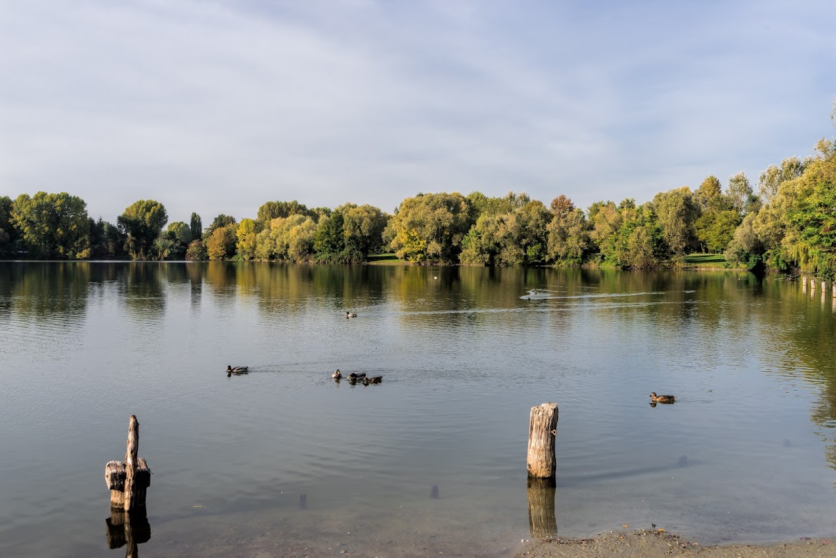 Parco Agricolo Sud Milano - Uffici — Punto di interesse a Milano, Milano