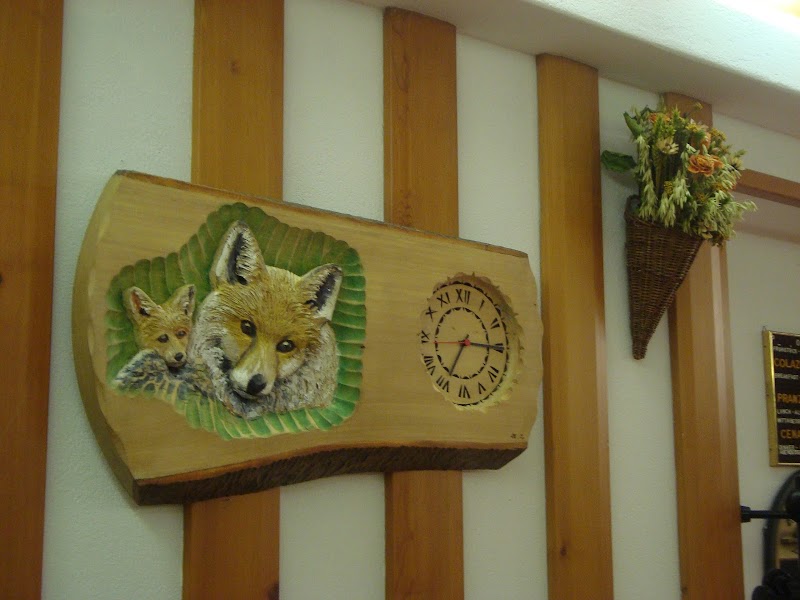 Hotel Punta Cian