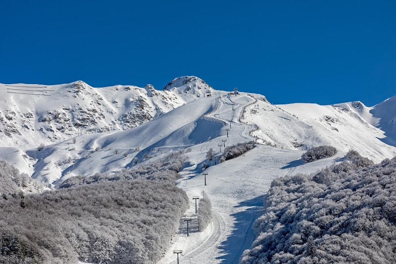 Riserva Bianca Limone Piemonte