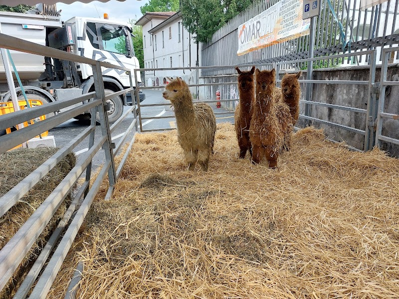 Fiera Agricola Oleggio — Punto di interesse a Oleggio, Novara