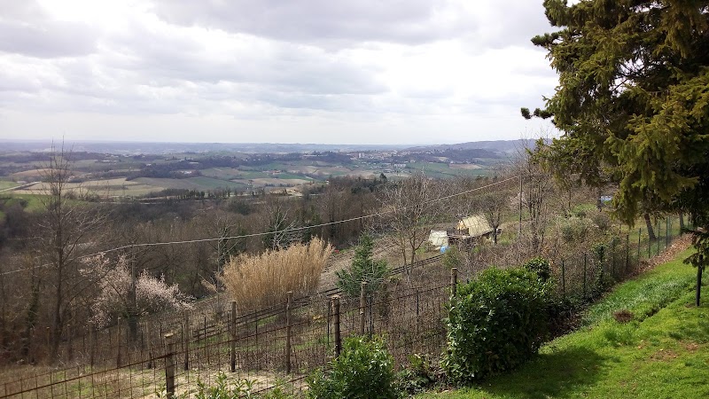 Parco della Stele — Punto di interesse a Monferrato Casalese, Alessandria
