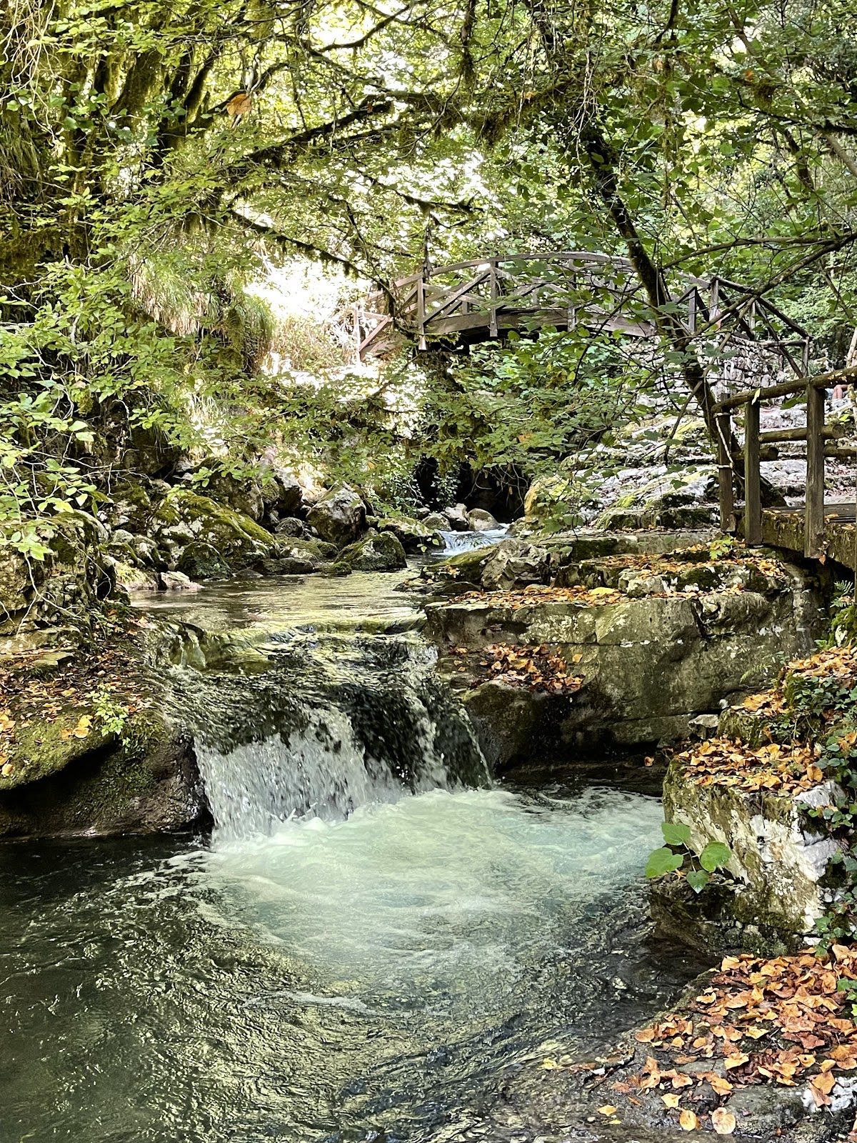 Oasi WWF Grotte del Bussento — Punto di interesse