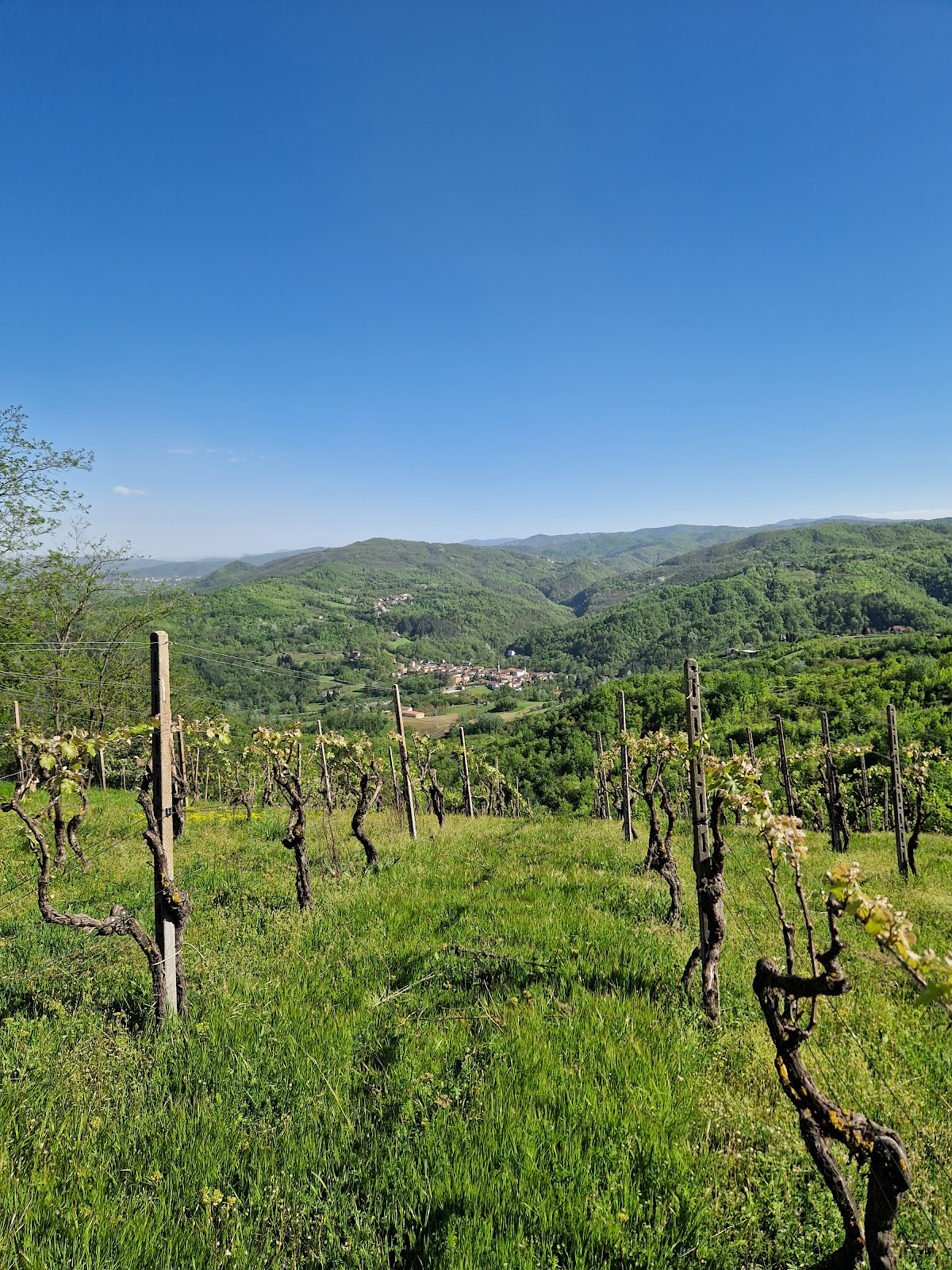 Castello di Ovrano
