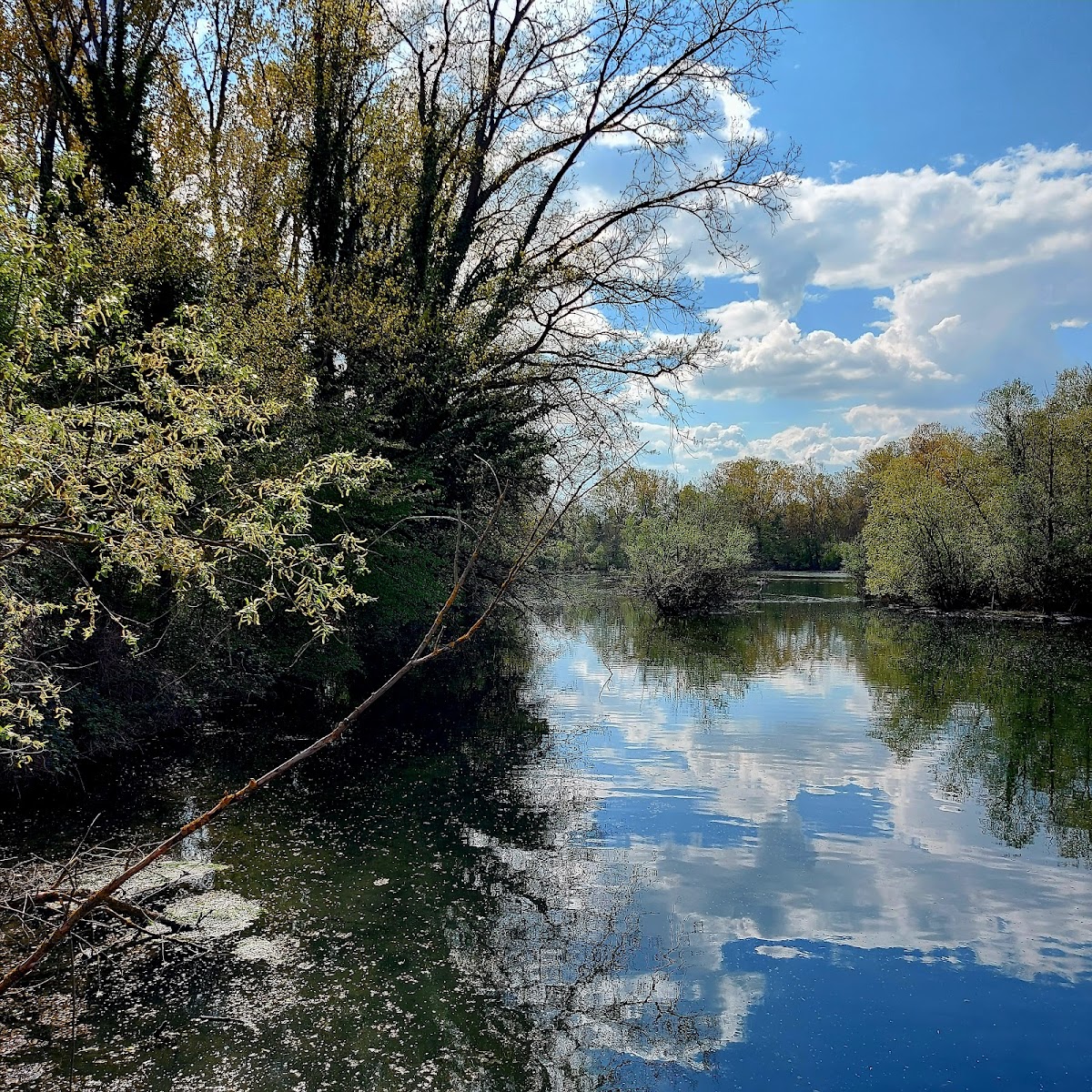 Ingresso Riserva Naturale di Crava-Morozzo — Punto di interesse a Neive, Cuneo