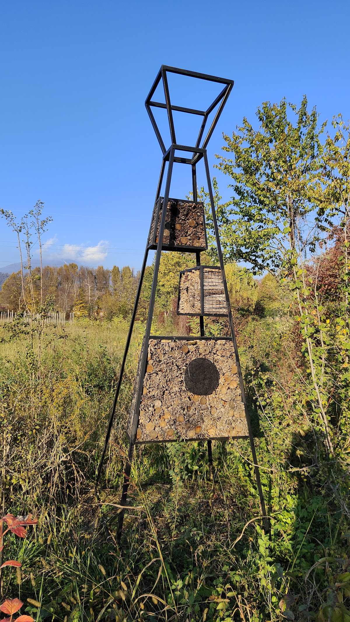 Oasi del Seniga - Stanze di Natura — Punto di interesse a Bergamo, Bergamo