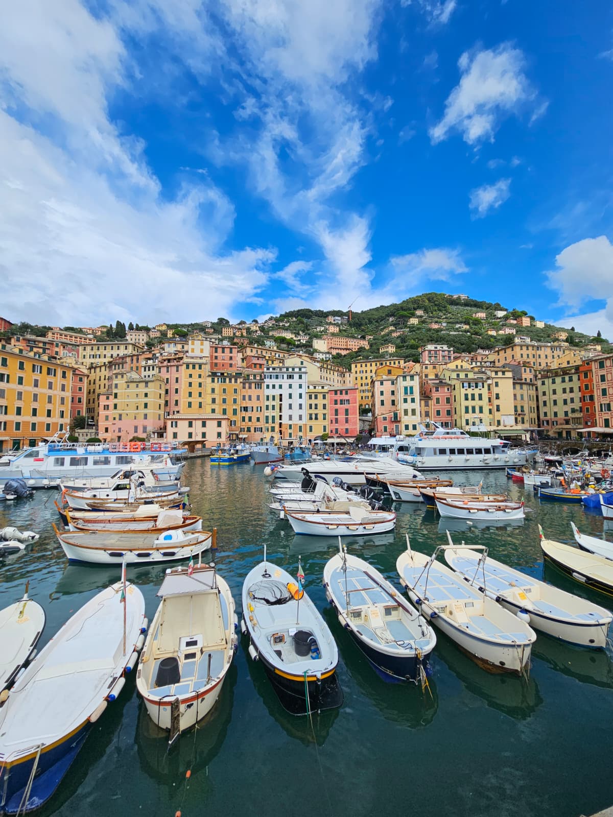 Camogli — Punto di interesse a Camogli, Genova