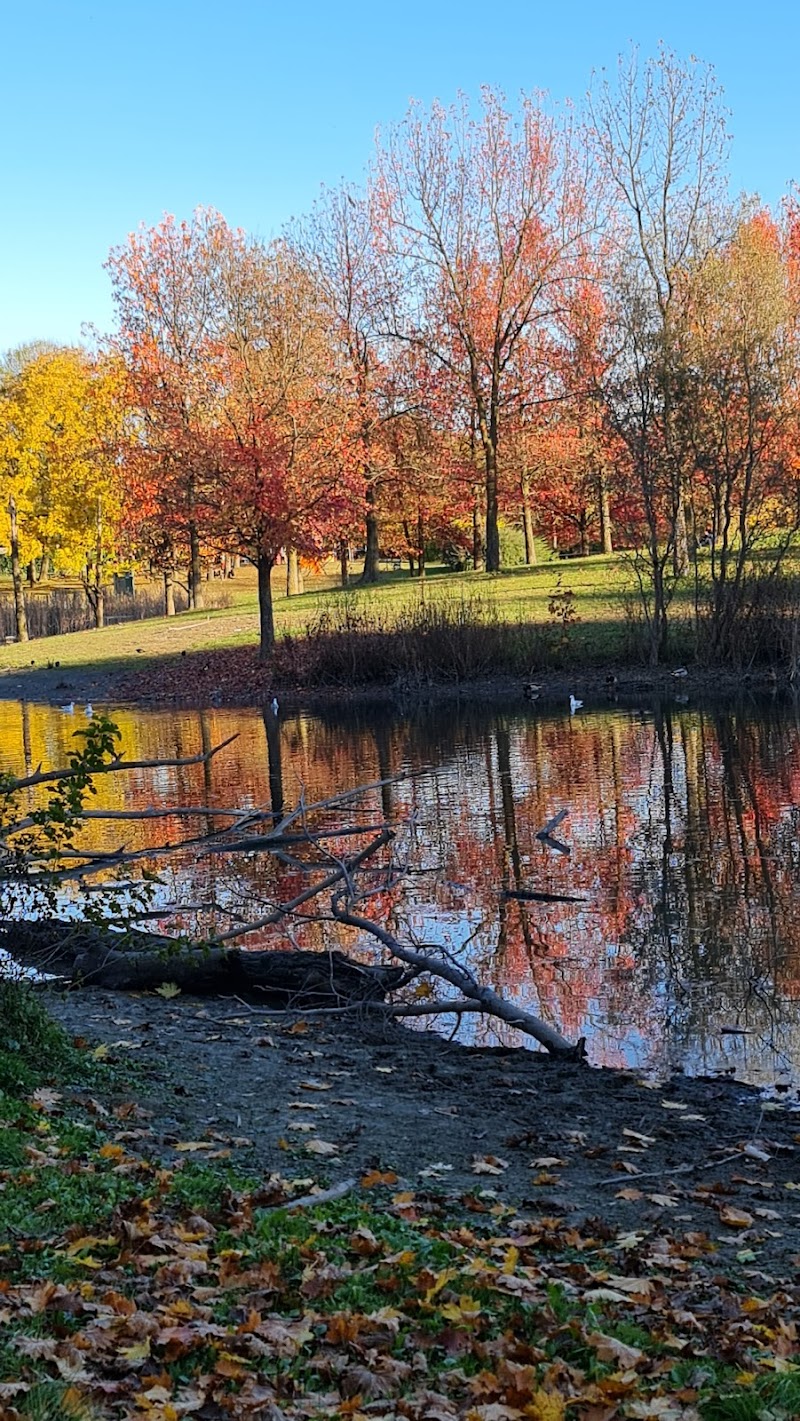 Parco Pubblico Pellerina — Punto di interesse a Torino Centro, Torino