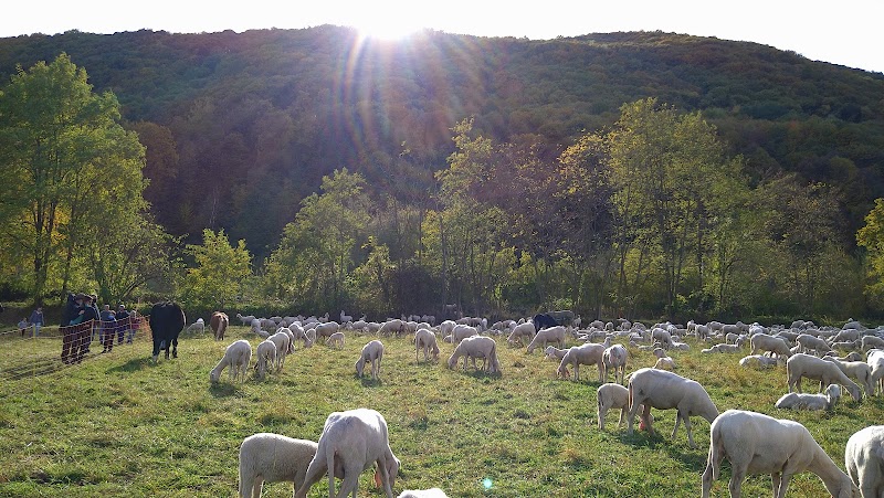 Parco al Bersaglio — Punto di interesse a Torre Pellice, Torino
