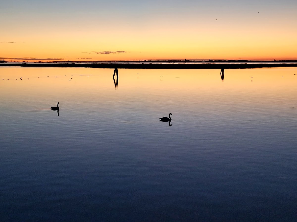 Parco di San Giuliano — Punto di interesse a Venezia, Venezia