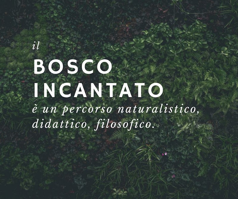 Il Bosco Incantato