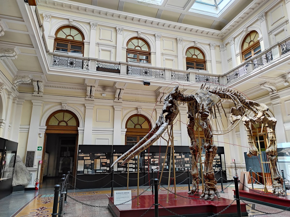 Museo Civico di Storia Naturale Giacomo Doria — Punto di interesse a Genova, Genova