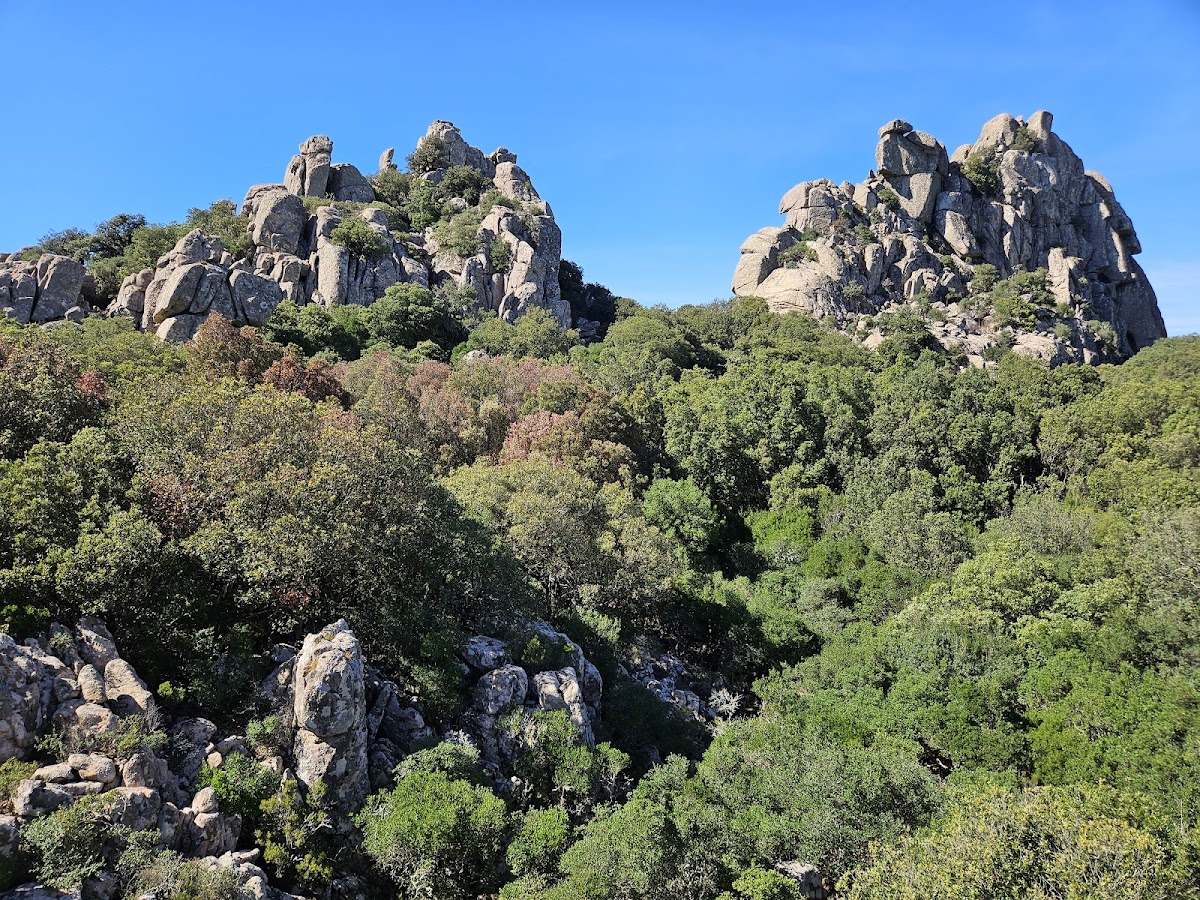 Parco dei Sette Fratelli - Monte Genis — Punto di interesse a Cagliari, Cagliari