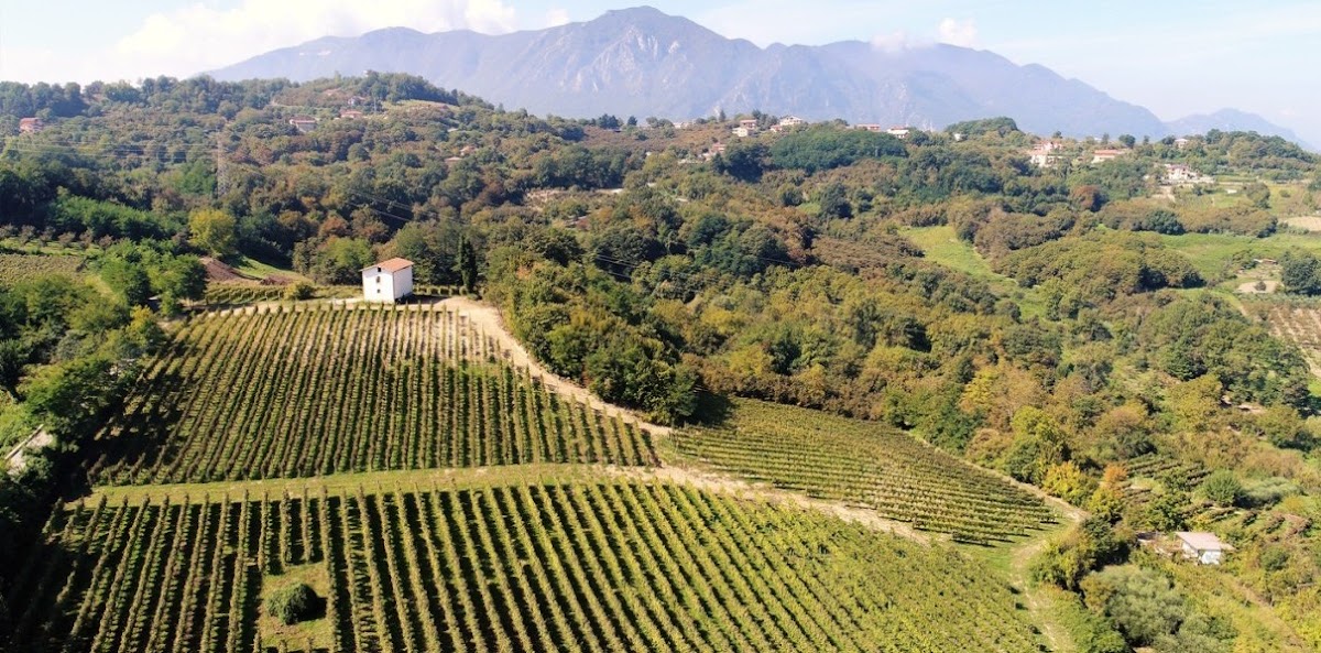Crypta Castagnara cantine