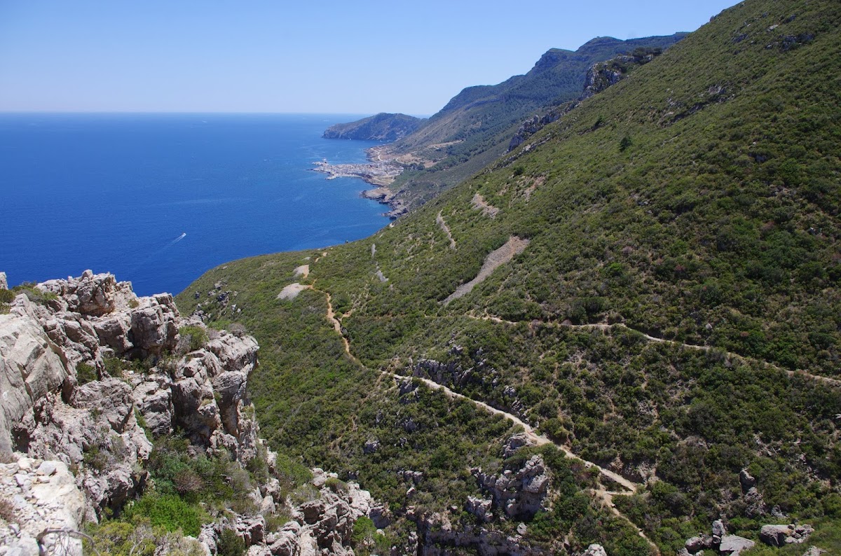 Artemisia per il turismo sostenibile e l'educazione ambientale — Punto di interesse a Palermo, Palermo