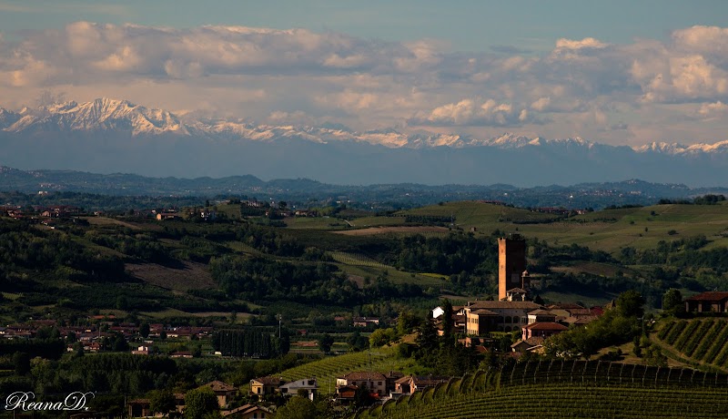 Torre di Barbaresco