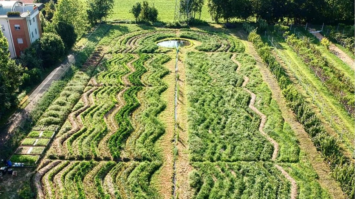 Demetra Organismo Agricolo — Punto di interesse a Bergamo, Bergamo