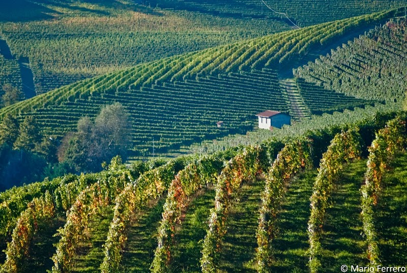 Strada del Barolo