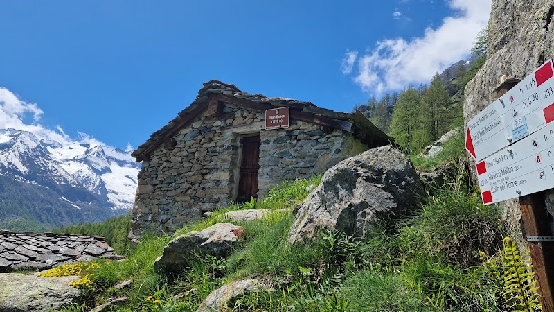 Alpe Pian Bosco