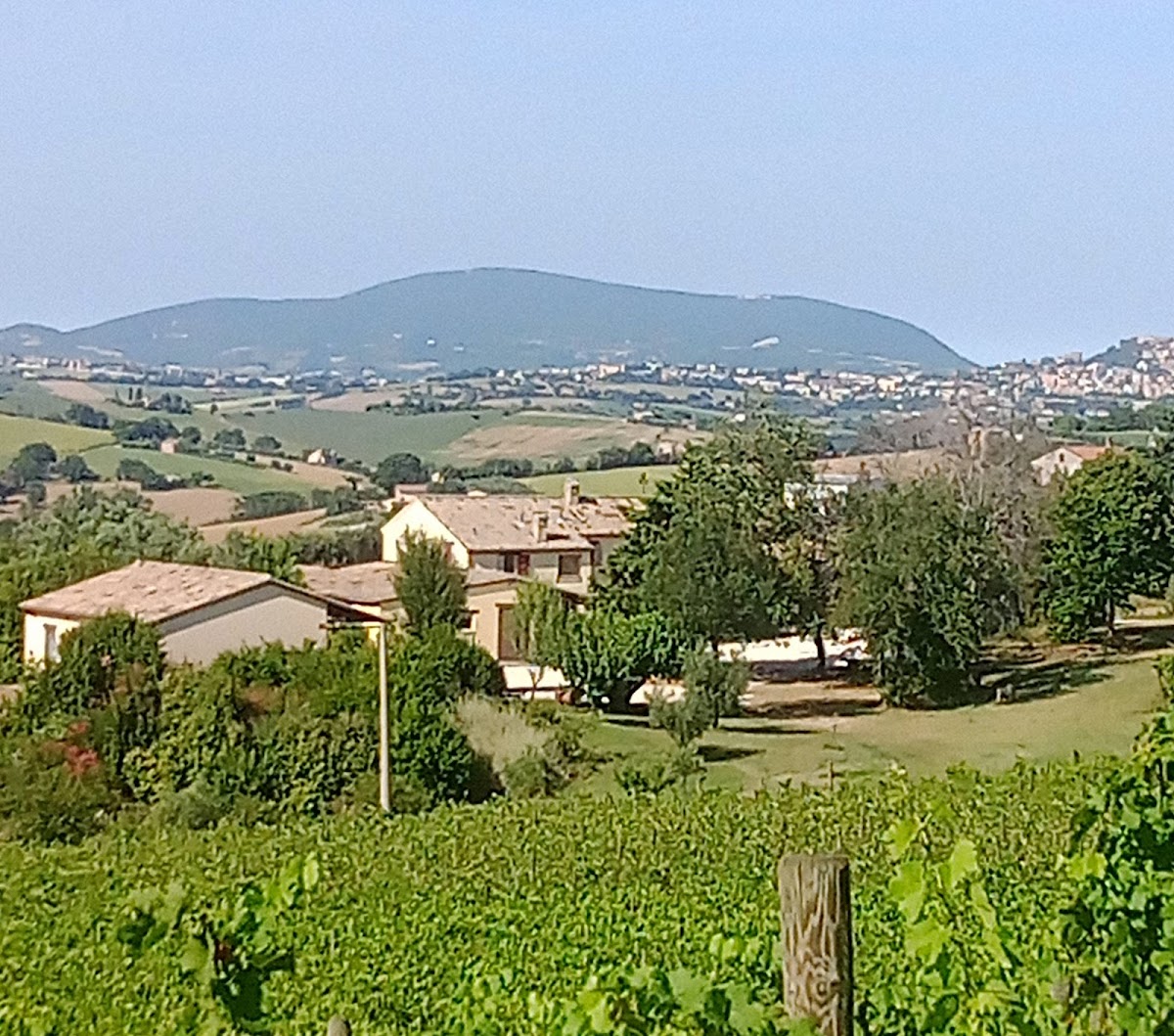 Azienda Agraria/Agriturismo "I TRE FILARI" — Punto di interesse a Macerata, Macerata