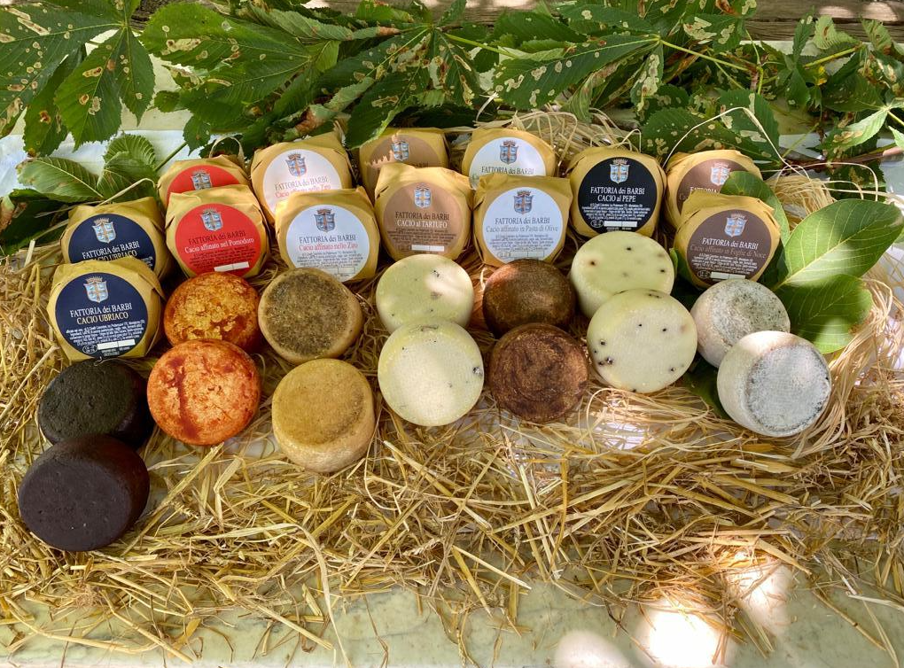 Caseificio dei Barbi — Punto di interesse a Montalcino, Siena