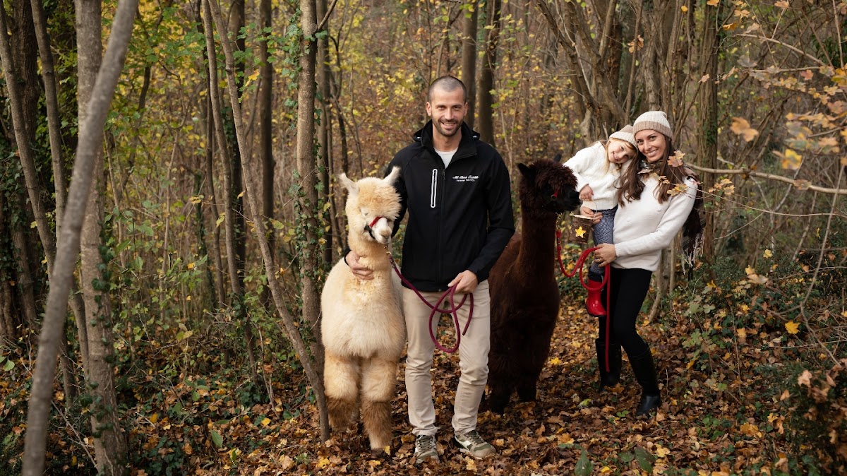 Nel Bosco Incantato - Fattoria didattica - Nido in famiglia - Alpaca Veneto Italia — Punto di interesse a Treviso, Treviso