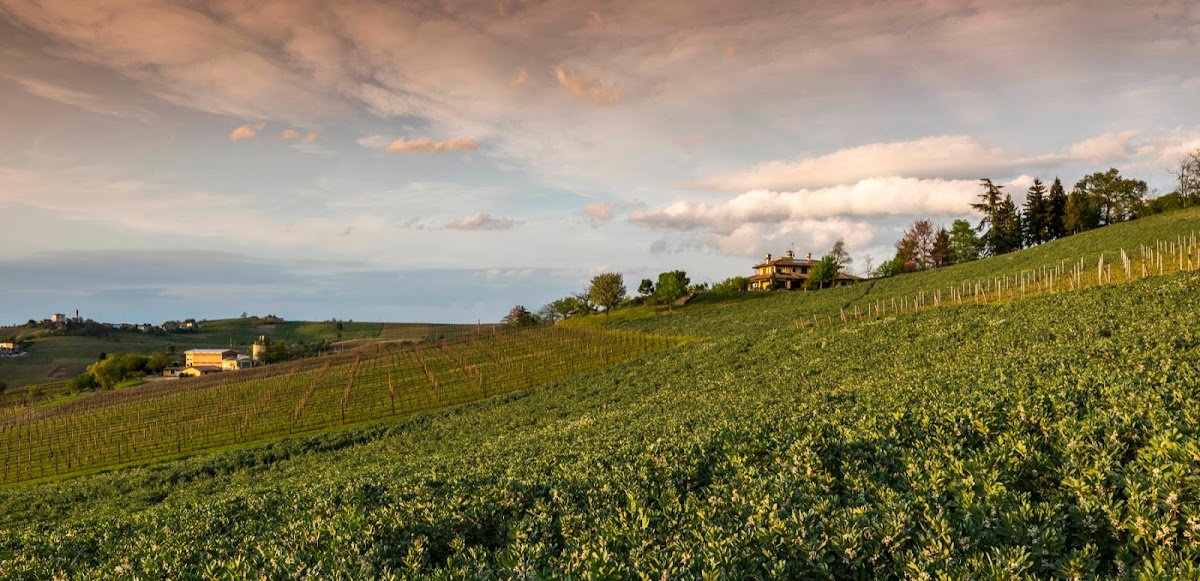 Tenuta Ballerio - Quvestra