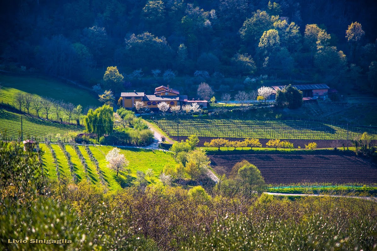 Fattoria Valle delle Gombe — Punto di interesse a Padova, Padova