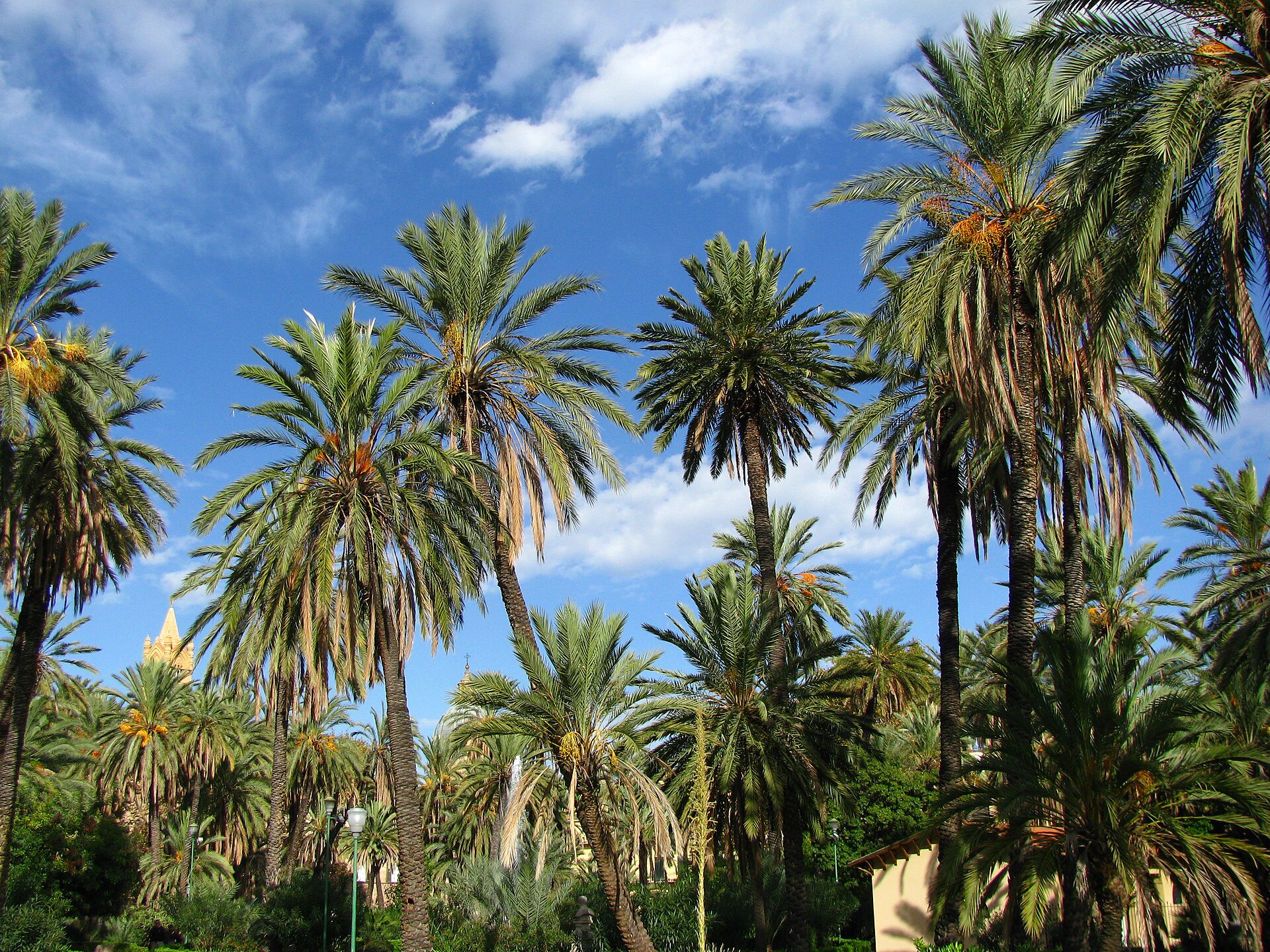 Villa Bonanno — Punto di interesse a Palermo, Palermo
