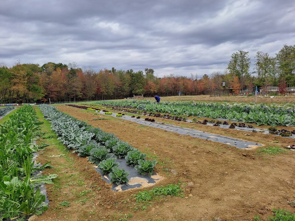 OL Rüch Farm Ranch — Punto di interesse a Bergamo, Bergamo