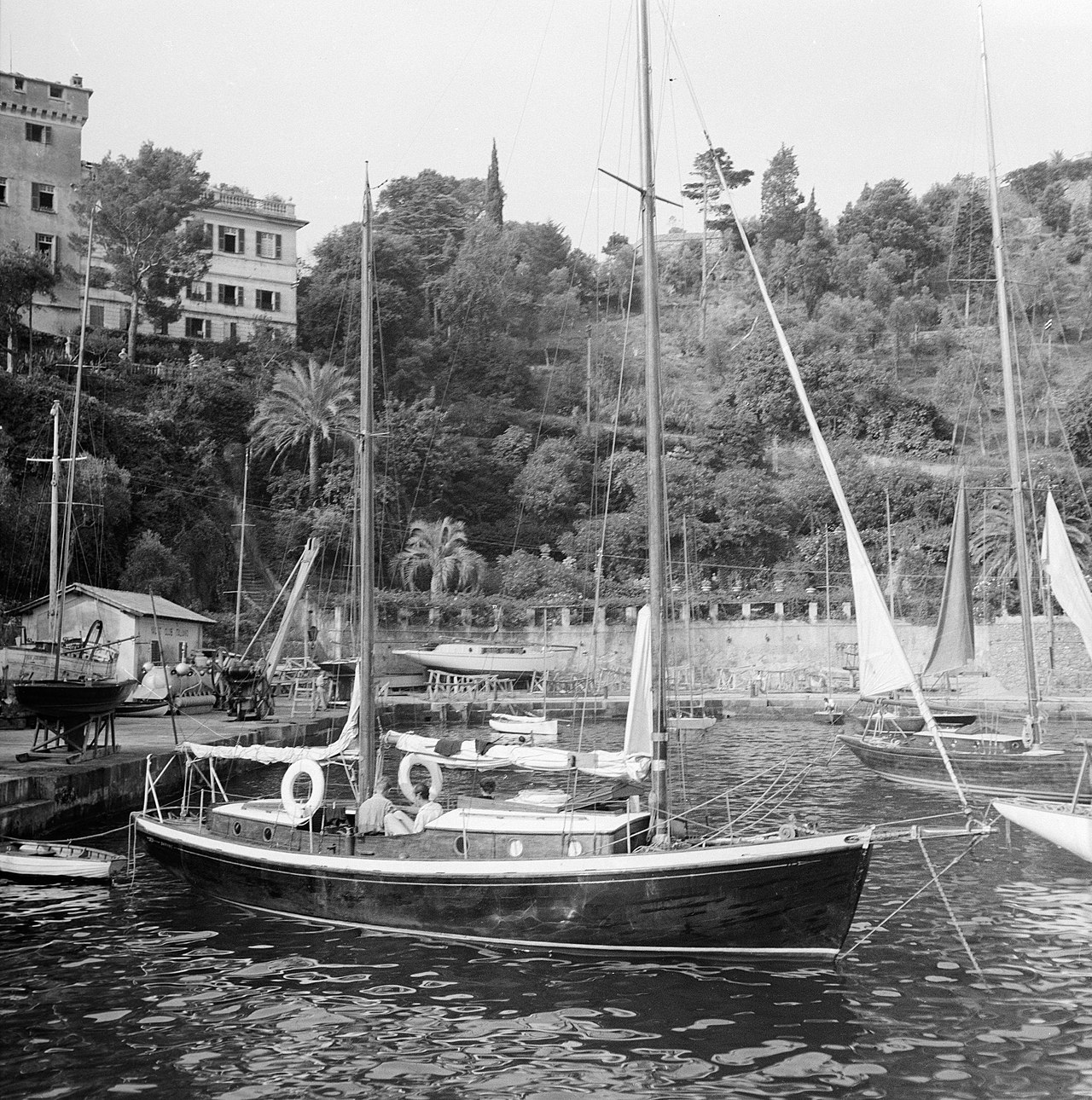 Area naturale marina protetta Portofino — Punto di interesse , Genova