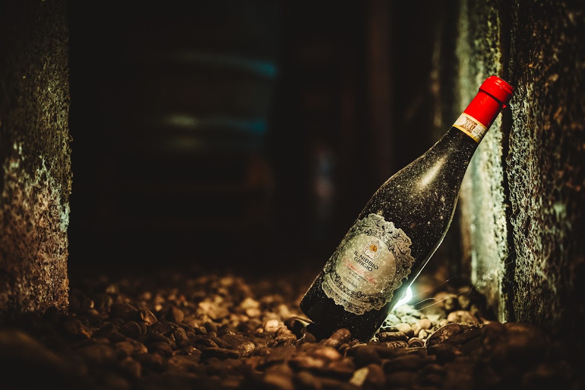 Cantine Strapellum Agricola — Punto di interesse a Venosa, Potenza