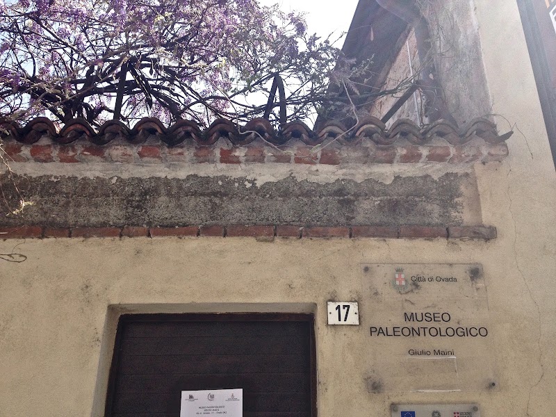 Museo Paleontologico Giulio Maini — Punto di interesse a Ovada, Alessandria