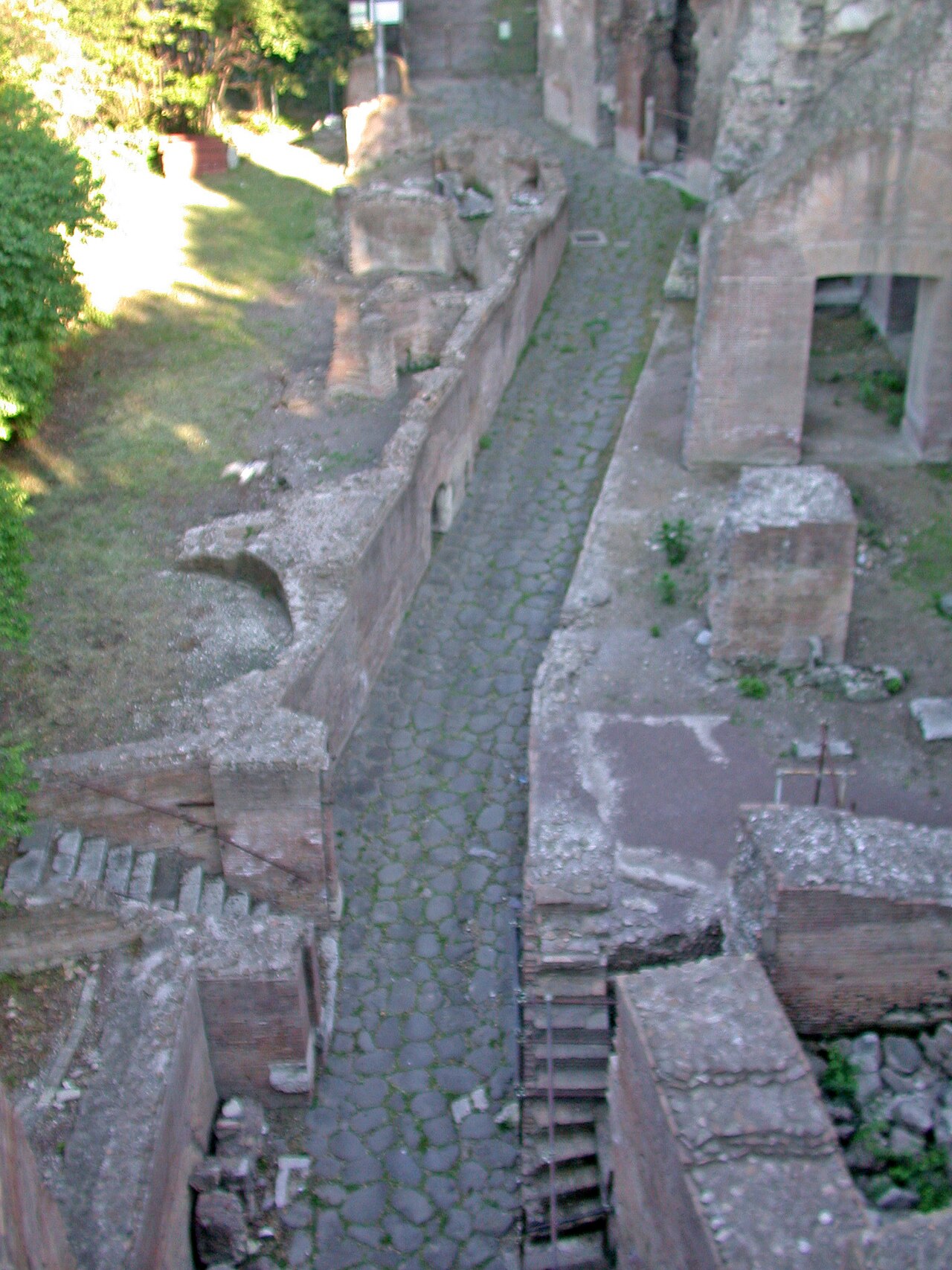 Domus Tiberiana — Punto di interesse , Roma