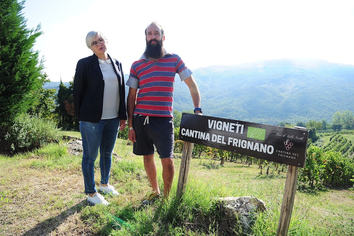 Soc. Agr. Cantina del Frignano srl — Punto di interesse a Modena, Modena