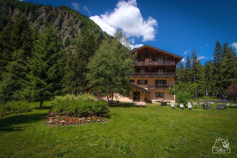 In zona: Alpine Forest Hotel