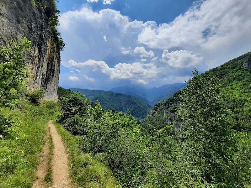 Sentiero Dei Ciclamini