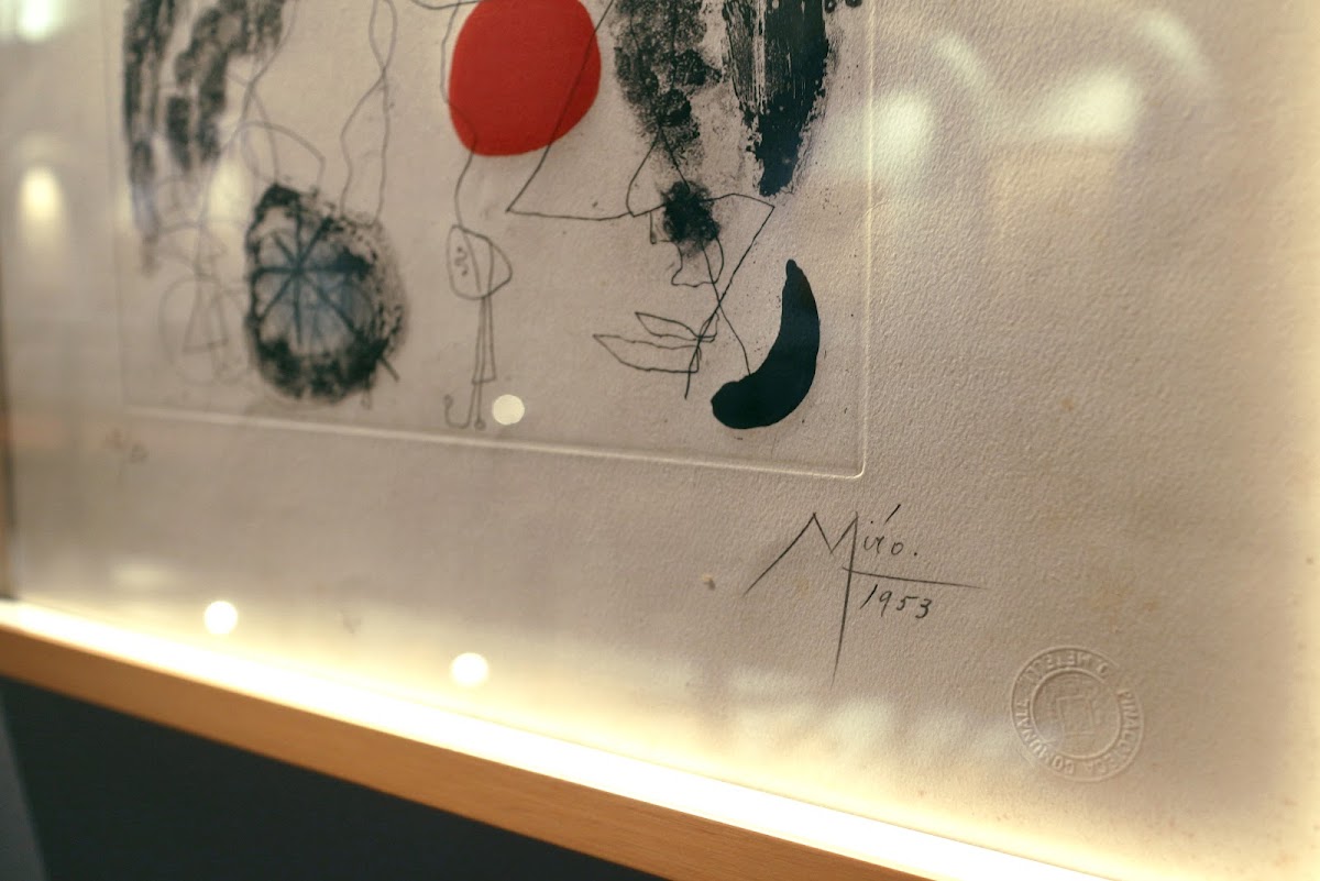 Museo d'Arte Moderna e Contemporanea Aurelio de Felice — Punto di interesse a Terni, Terni
