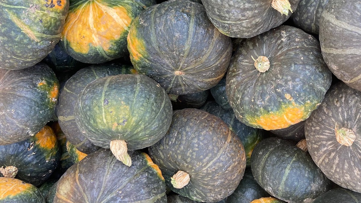 Agricola Schianchi — Punto di interesse a Parma, Parma