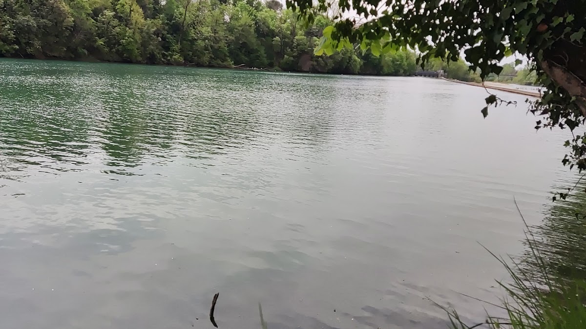 Parco Piuma / Pevmski park — Punto di interesse a Gorizia, Gorizia