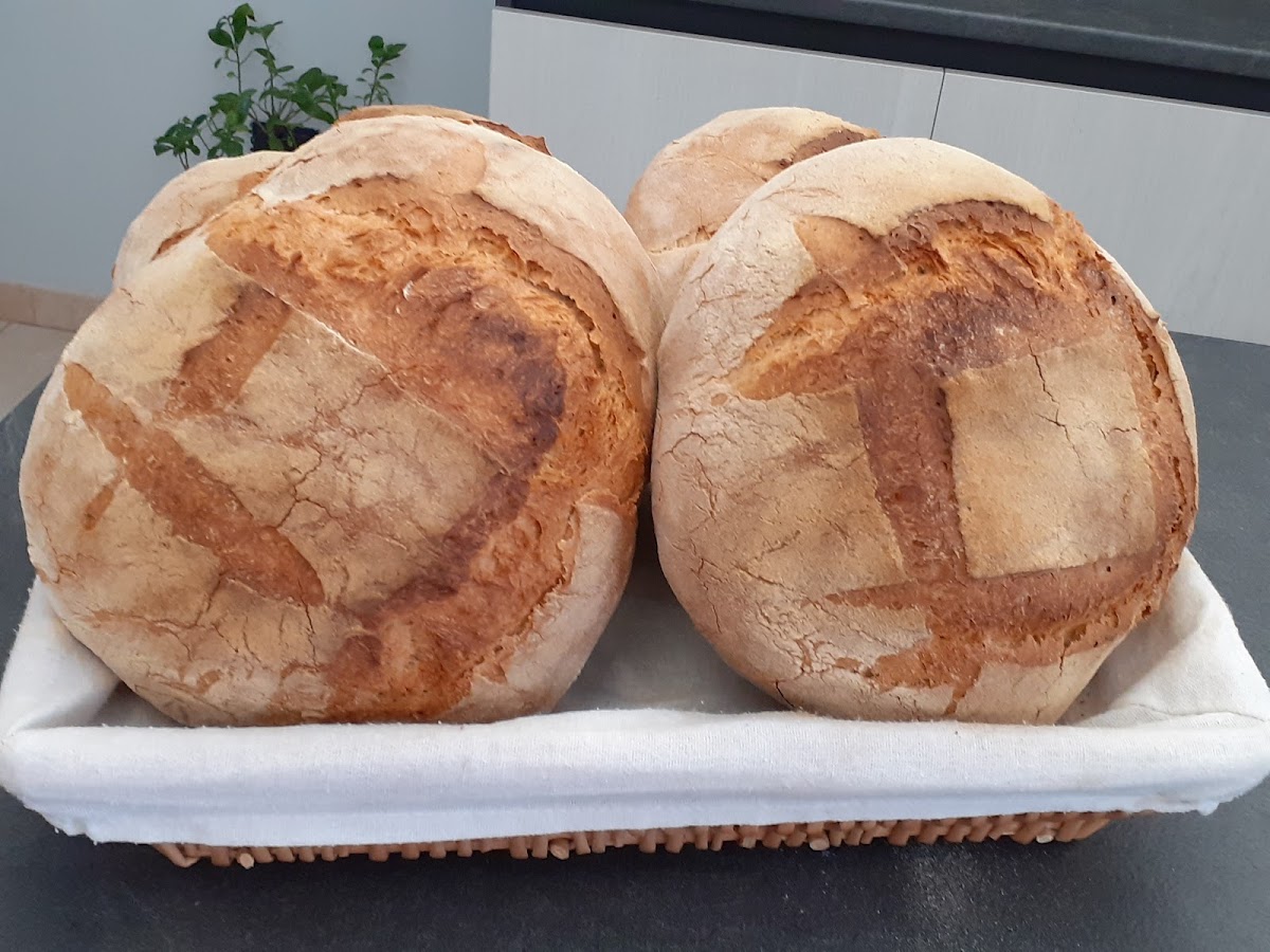 Gustó | Pizzeria | Panetteria | Rosticceria| Potenza — Punto di interesse a Potenza, Potenza