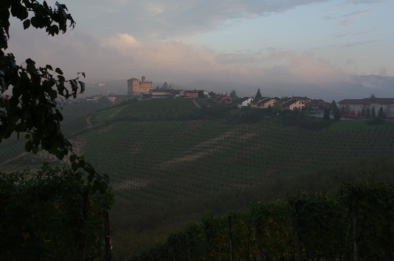 Il Belvedere di PePÈ — Punto di interesse a Neive, Cuneo
