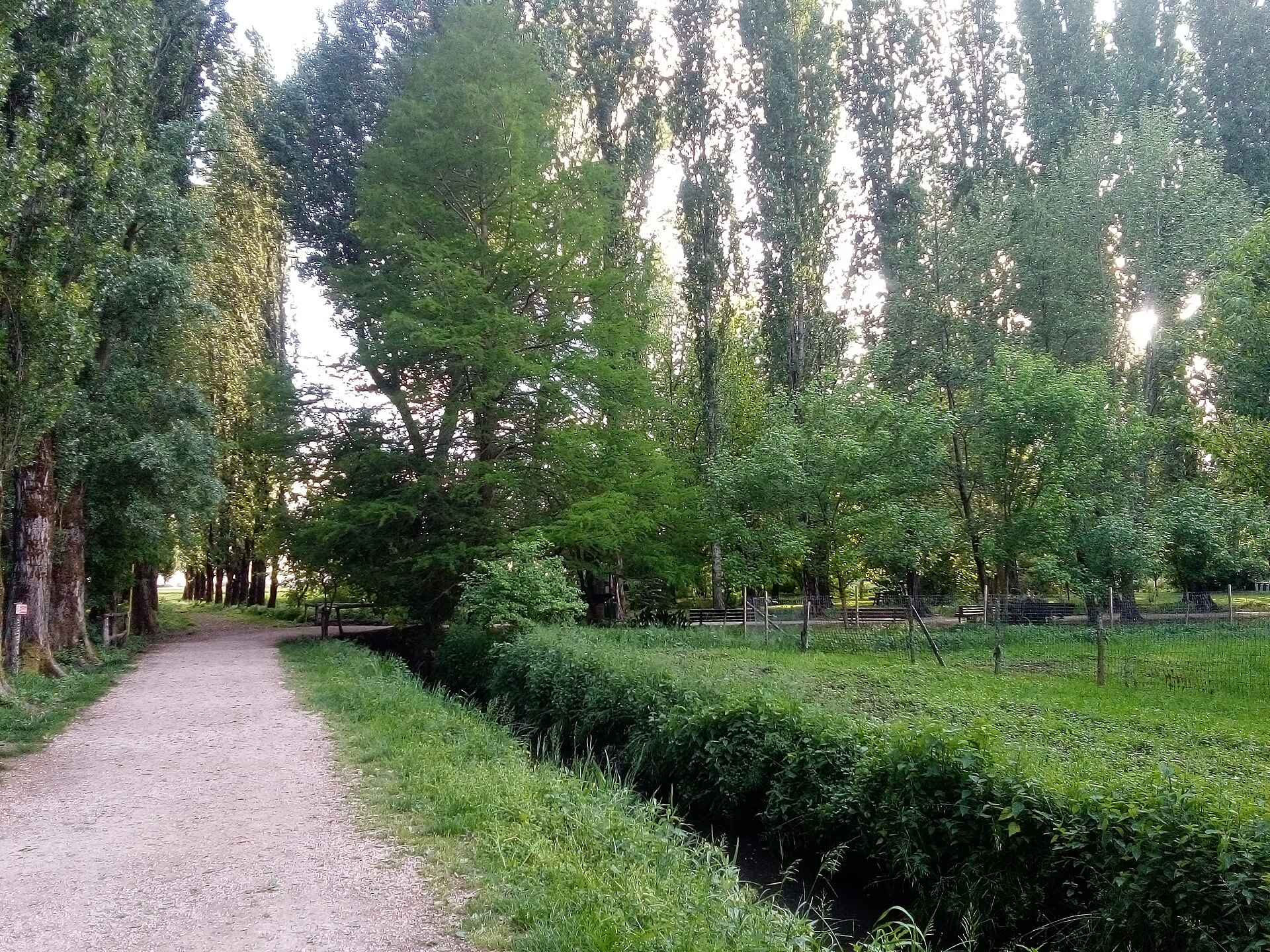 parco Valle del Menago — Punto di interesse , Venezia