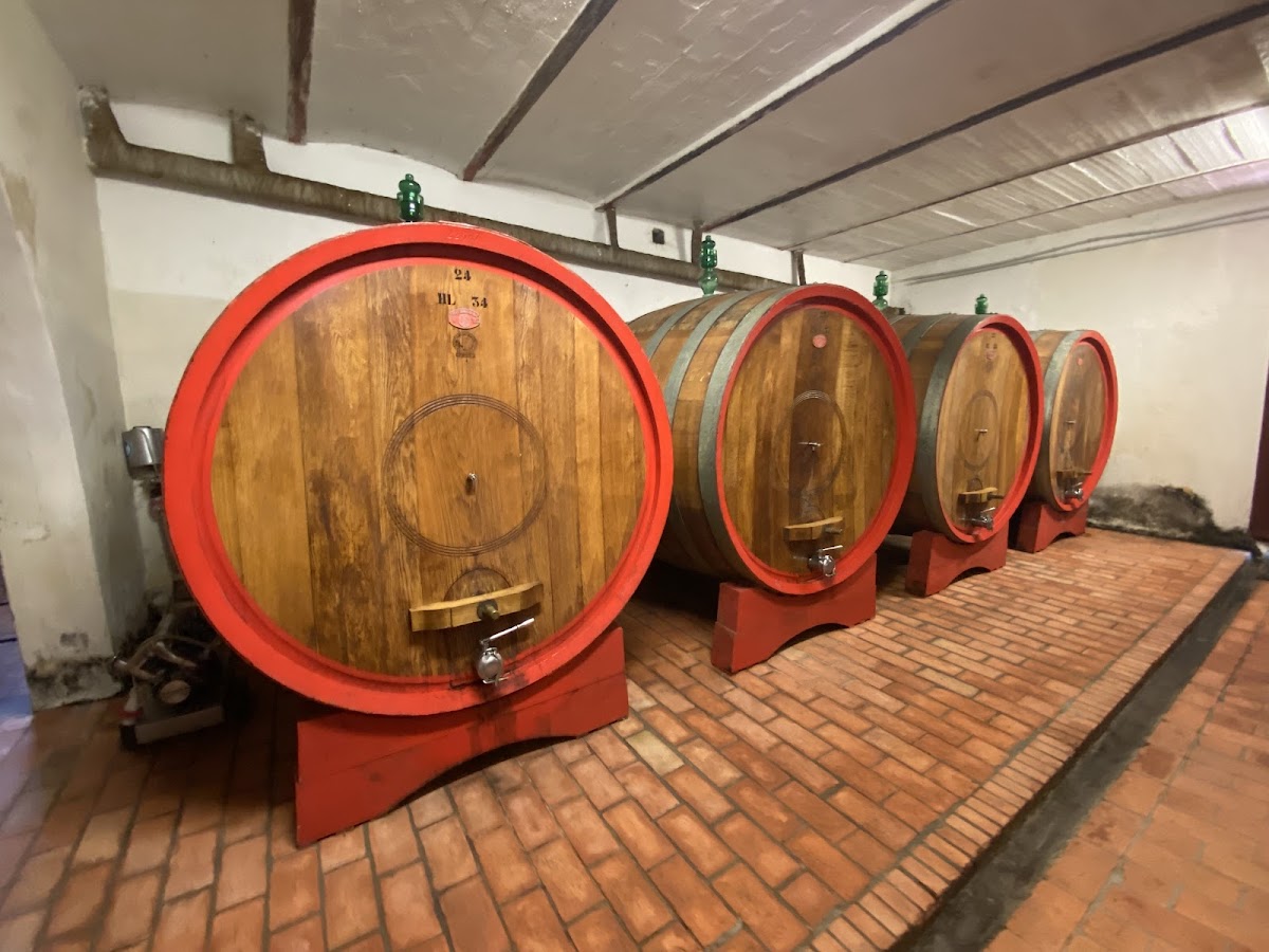 Tiberini Winery Vino Nobile di Montepulciano — Punto di interesse a Montepulciano, Siena
