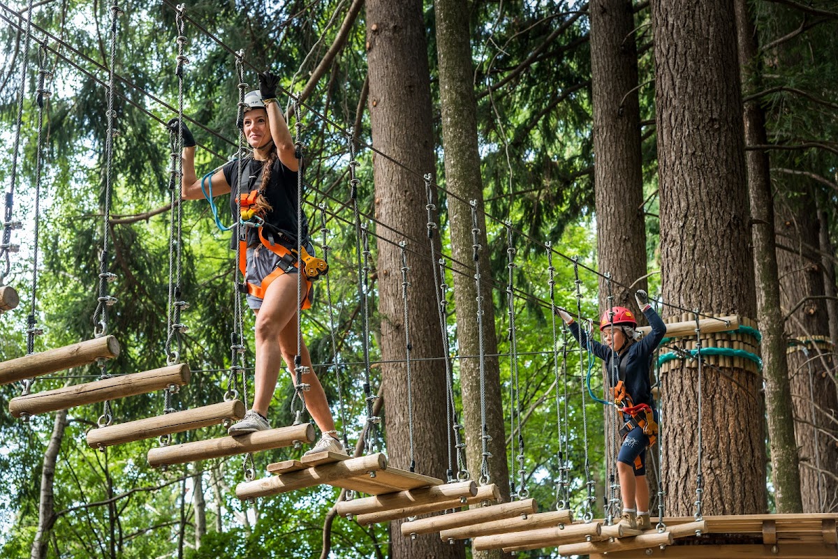 In zona: Jungle Raider Park Albavilla