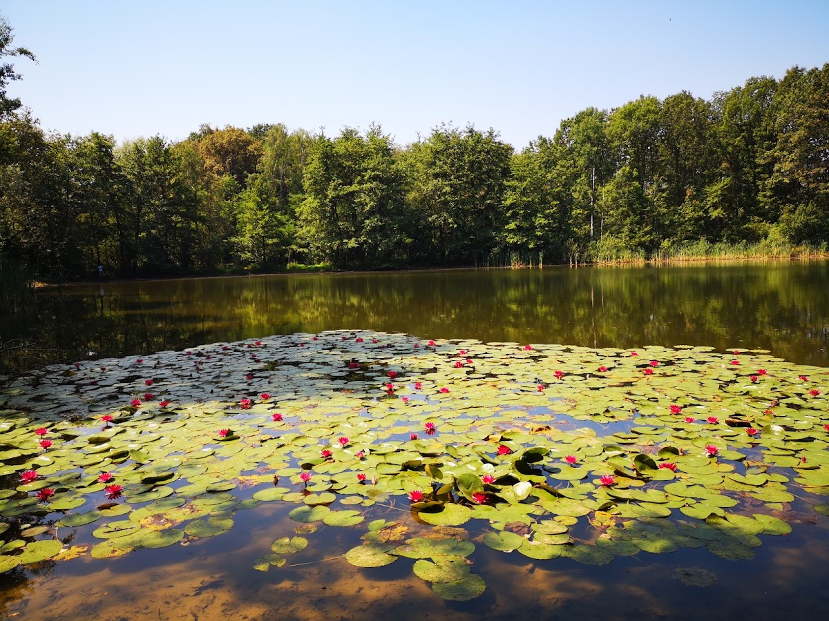 Parco delle Groane e della Brughiera Briantea — Punto di interesse a Milano, Milano