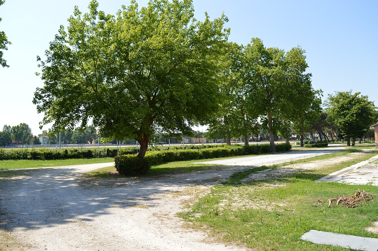 Luce Caponegro Tricopigmentazione — Punto di interesse a Ravenna, Ravenna