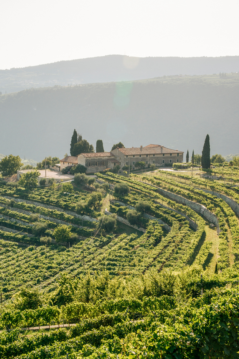 Tenuta Santa Maria Valverde — Punto di interesse a Verona, Verona