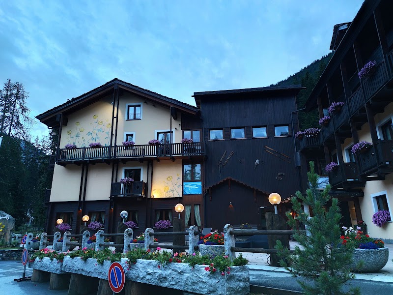 Hotel Boton D'Or