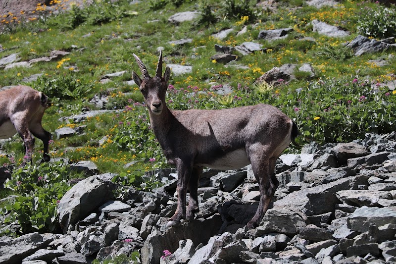 Colle delle Traversette