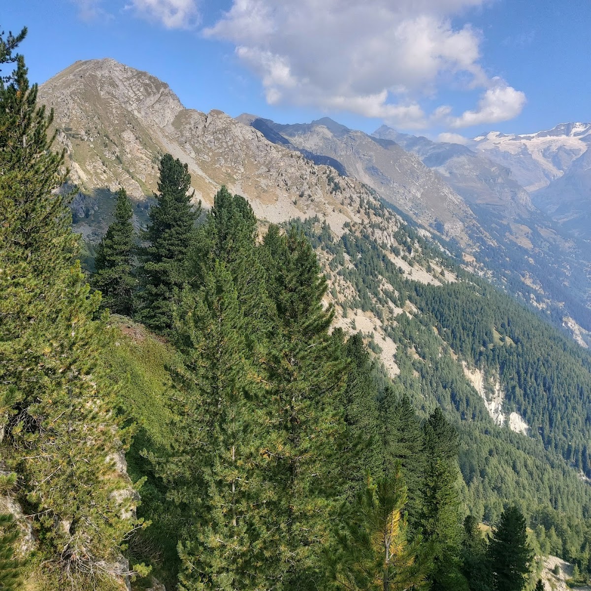 weismatten — Punto di interesse a Gressoney, Aosta